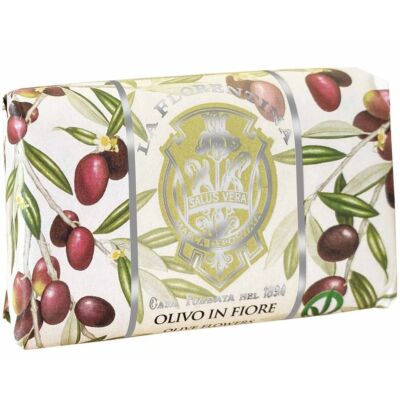 Квіти оливи