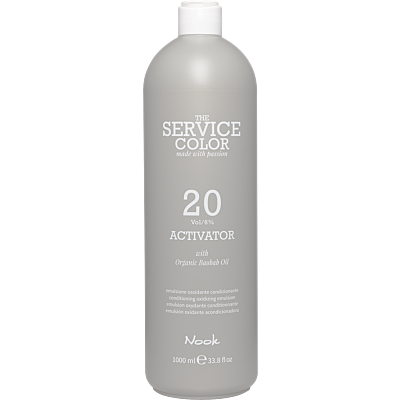 THE SERVICE COLOR Окислювач 20 VOL 6%
