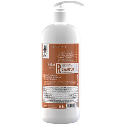 Відновлювальний шампунь для пошкодженого волосся