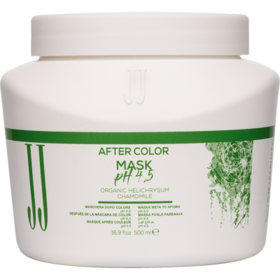 AFTER COLOR Маска для закріплення кольору